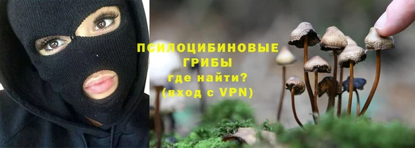 ECSTASY Балахна