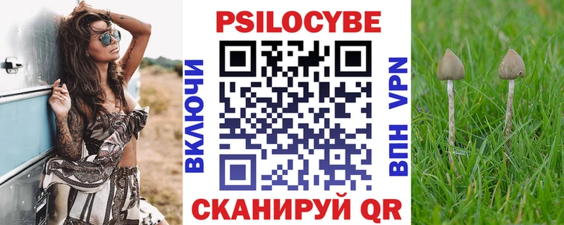 Псилоцибиновые грибы Psilocybe как найти закладки Озёры